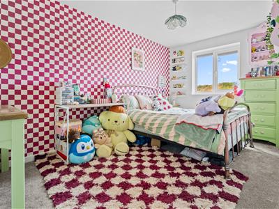 Picture 13